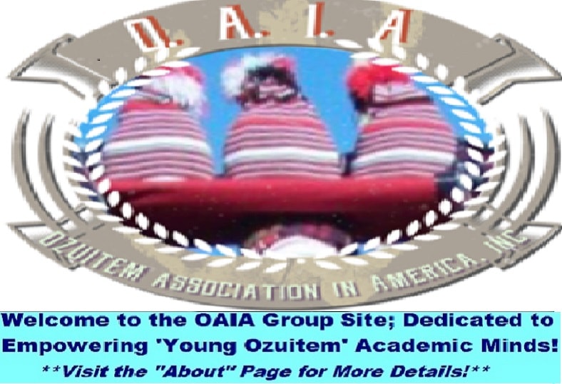Supporting the AMURT Ozuitem Water Project